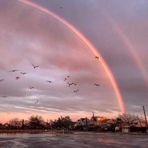 体育生男生手冲素材大全免费

