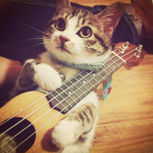 体育生男生手冲素材大全免费
